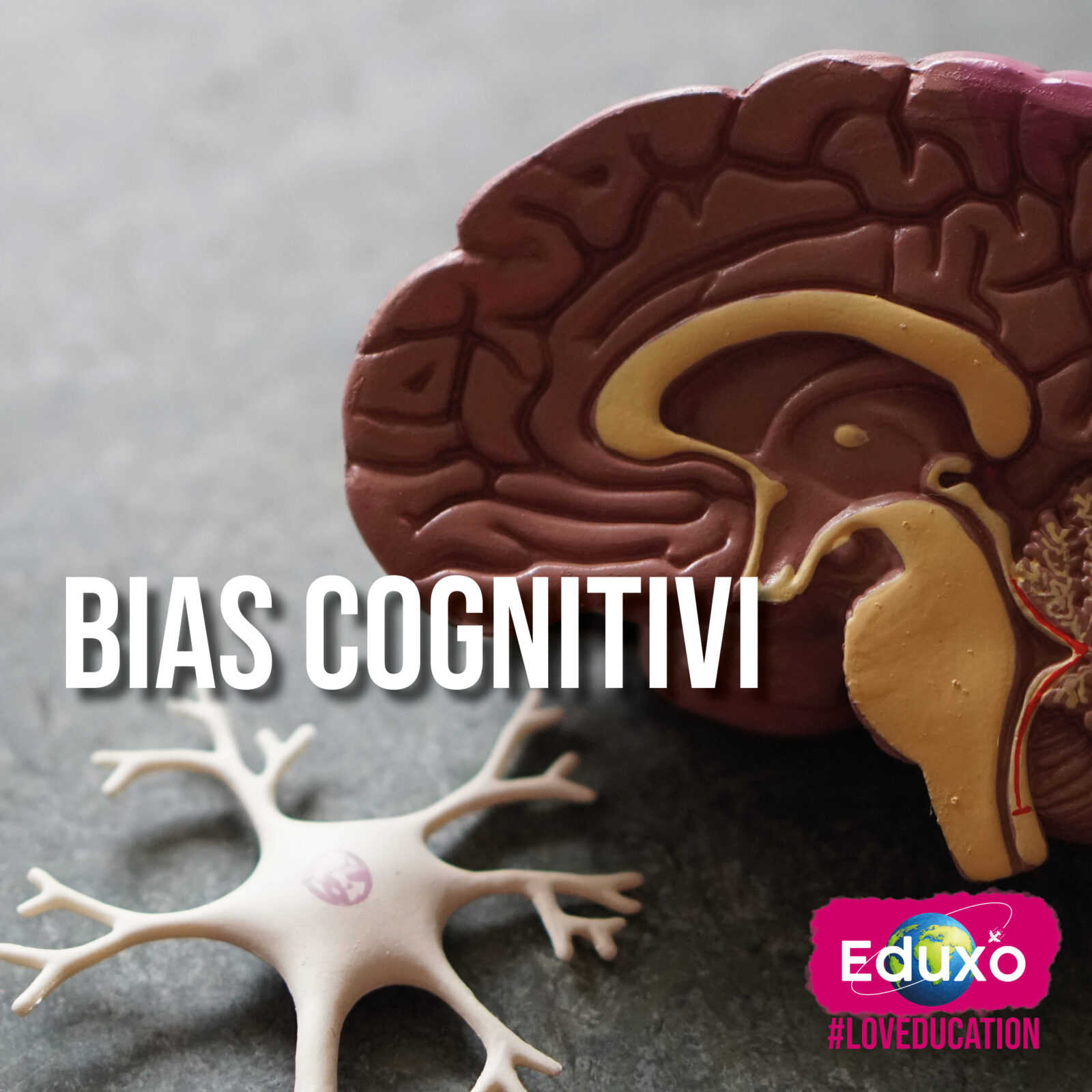 Al momento stai visualizzando Bias cognitivi