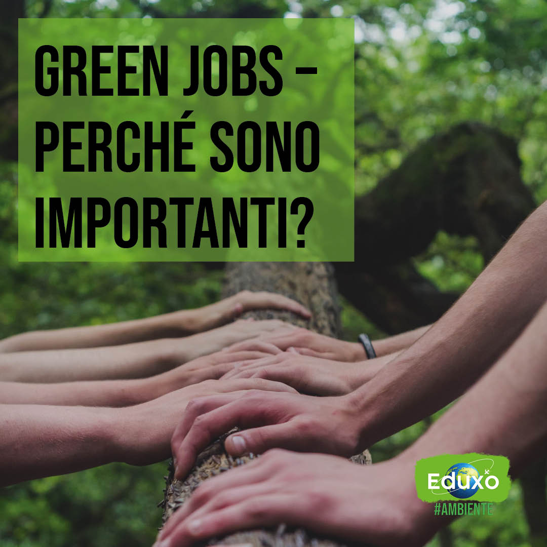 Green jobs: perchè sono importanti?