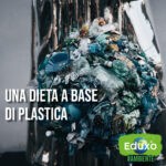 Scopri di più sull'articolo Una dieta a base di plastica