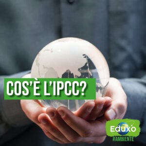 Scopri di più sull'articolo IPCC (Intergovernmental Panel on Climate Change)