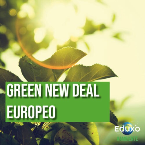 Al momento stai visualizzando Green new deal europeo