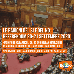 Scopri di più sull'articolo Referendum