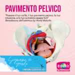 Read more about the article Pavimento Pelvico