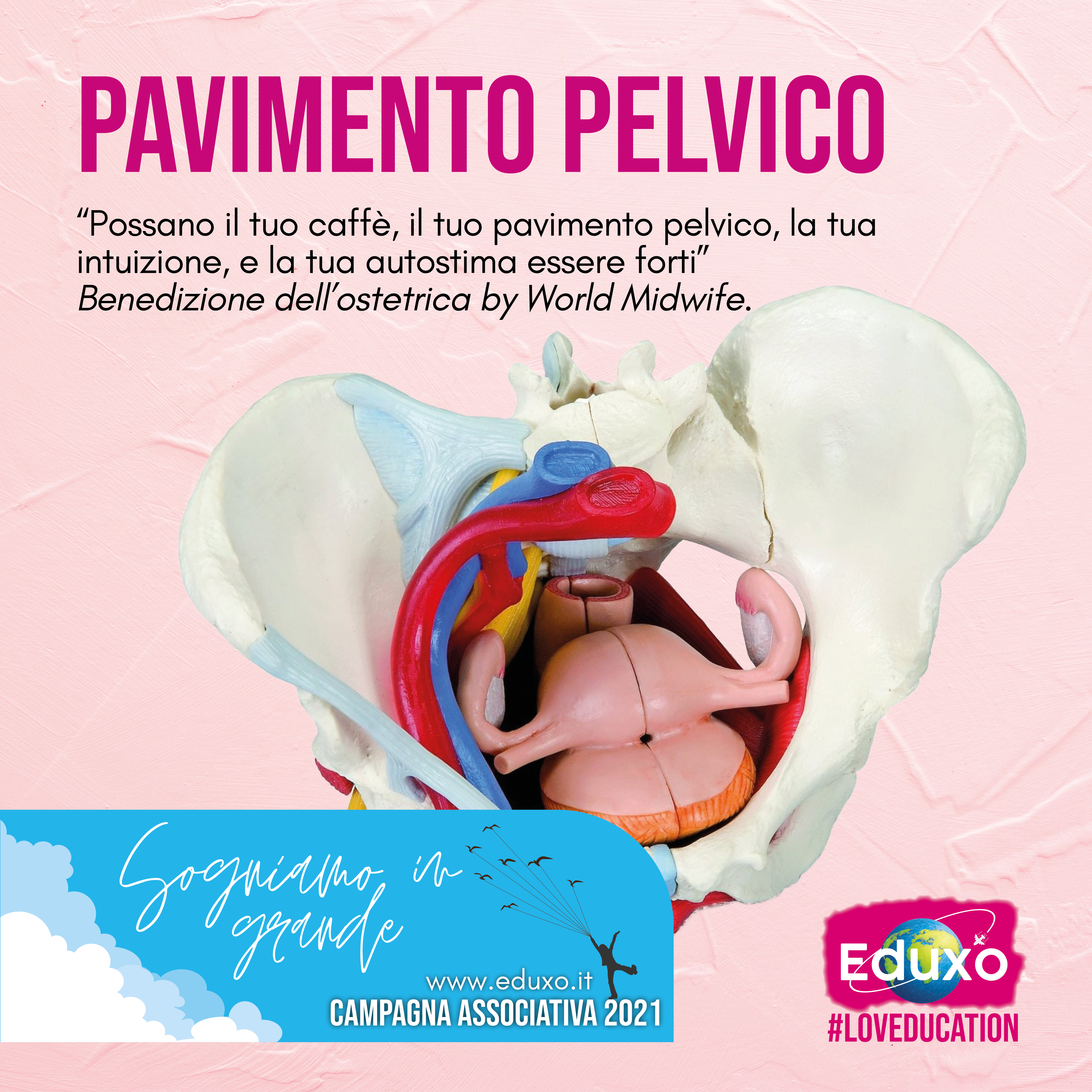 Pavimento Pelvico: cos'è e a cosa serve? 