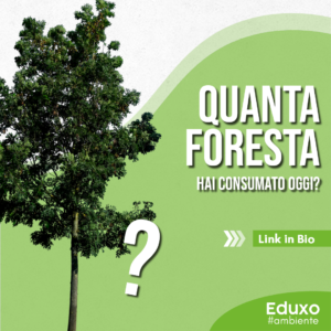 Scopri di più sull'articolo Quanta foresta hai consumato oggi?