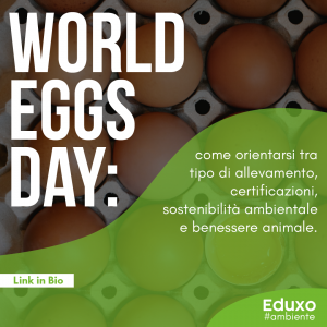 Scopri di più sull'articolo World Eggs Day: come orientarsi tra tipo di allevamento, certificazioni, sostenibilità ambientale e benessere animale