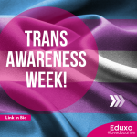 Scopri di più sull'articolo TRANS AWARENESS WEEK