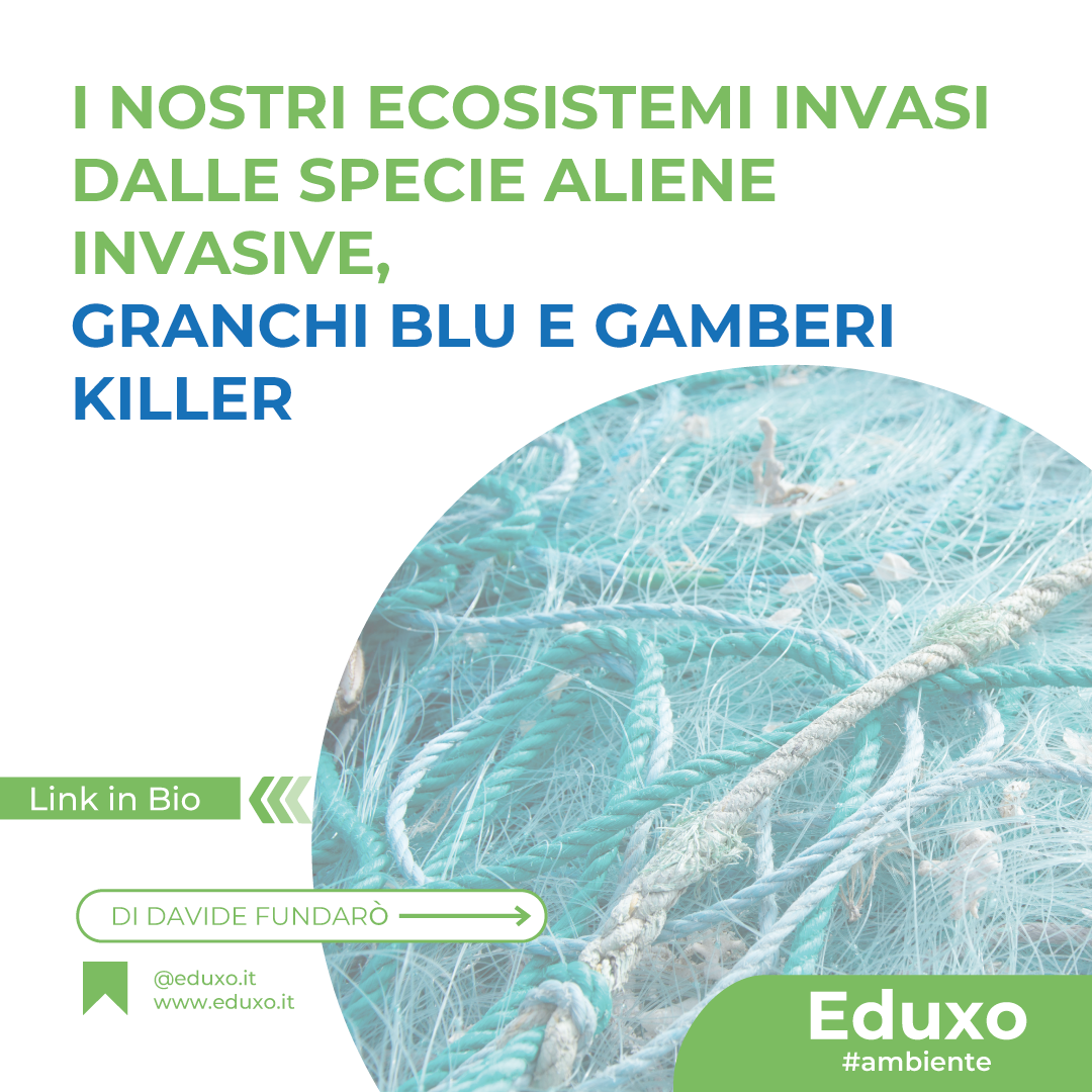 I nostri ecosistemi invasi dalle specie aliene invasive – Granchi Blu e Gamberi Killer